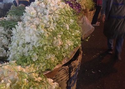 visiter Bangkok marché aux fleurs de Pak Khlong Talat 