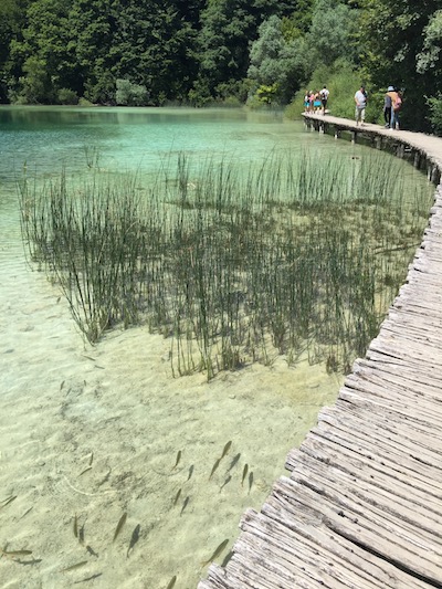 lacs de plitvice croatie