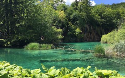 Croatie : la meilleure façon de visiter les lacs de Plitvice